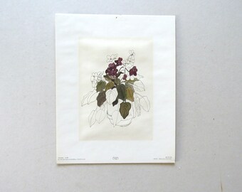 Vintage Plant Flower Original Art Print, Mary Lou Goertzen 1980