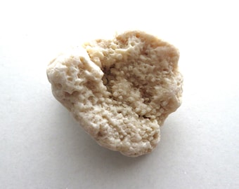 May include: A close-up shot of a light beige, porous rock formation. The rock has a rough, textured surface with numerous small, rounded protrusions and a central cavity. The overall shape is irregular and organic.