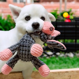 Stuffed rat dog toy hotsell