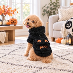 Peut inclure: Un pull à capuche noir pour chien en polaire texturée. Le dos du pull présente une poche avec deux visages de citrouille orange brodés et le mot BOO! cousu en fil orange. Un anneau en D en métal est fixé au niveau du cou.