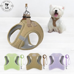 Puppy Cat Harness with Leash - Breathable Pet Vest for Small and Medium Dogs & Cats, Adjustable Harness Collar, Pet Walking Accessories