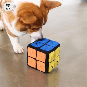 May include: A corgi dog playing with a colorful, plush, cube-shaped dog toy. The toy has blue, yellow, and orange squares.