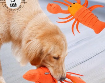 Quietschendes Hundespielzeug-Set – 5-teilig, Grill-Motive, Aus Plüsch & Knisterpapier, Für Kleine Bis Große Hunde