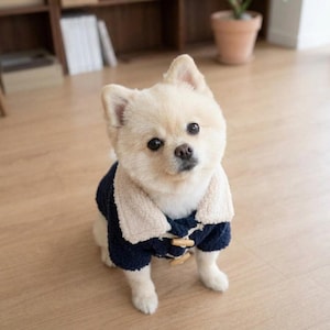Gilet polaire pour petit chien, pull chaud en maille pour chiots, disponible en 5 tailles