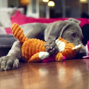 Plush Dog Toy- Animal Shaped, Bite-Resistant & Squeaky Corduroy Toy for Small-Large Dogs, Puppies | Durable Training Accessory, Engaging Fun