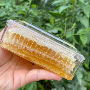 Pure Raw Natural Comb Honey / Directly From The Hives
