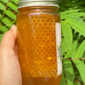 May include: A glass jar filled with honey comb, the honey is a light amber color. The jar has a silver lid and a white label with black text.