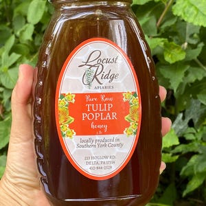 May include: A jar of pure raw Tulip Poplar honey from Locust Ridge Apiaries. The label is orange and white with the text "Pure Raw Tulip Poplar honey" and "2 lb". The jar is held in front of a green leafy background.