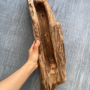 May include: A natural wood planter with a carved-out trough and three drainage holes. The wood has a rich, brown color with visible grain and knots. The planter is held by a hand, showcasing its size and shape.
