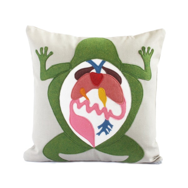 Science Diagram Pillow - Frog Dissection // Scientist // Biology // Biologist // Medical Student // Teacher Gift // Anatomy