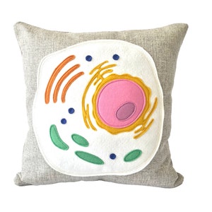 Animal Cell Pillow - Eukaryotic Cell / Science Diagram / Biology / Teacher / Medical Student / Nucleus / DNA / Science / Scientist