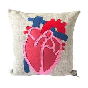 Science Diagram Pillow Heart // Cardiology // Cardiologist // Heart Transplant Gift // Valve Replacement // Bypass // Anatomical Heart image 1