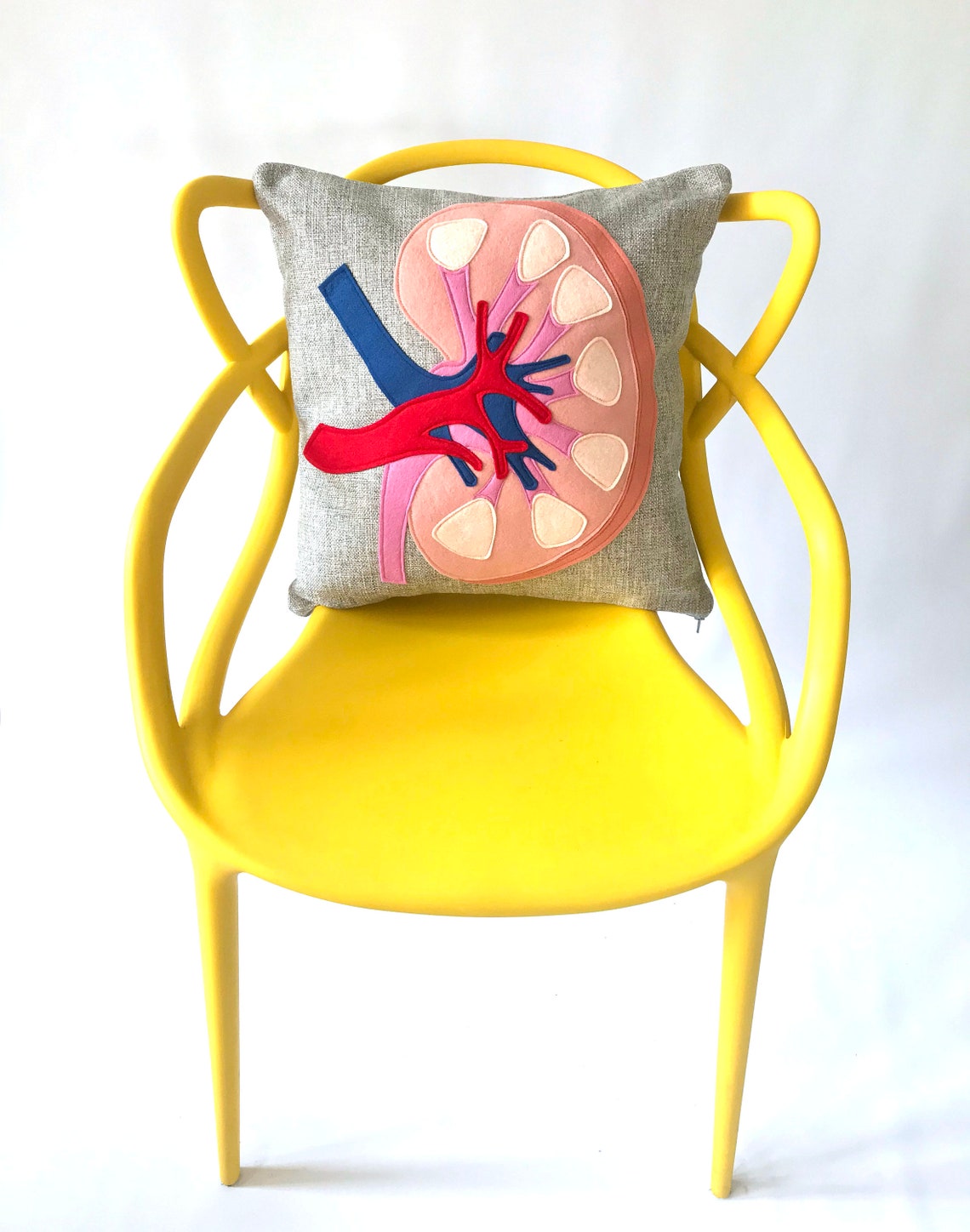 Science Diagram Pillow Kidney // Nephrology // Nephrologist Etsy