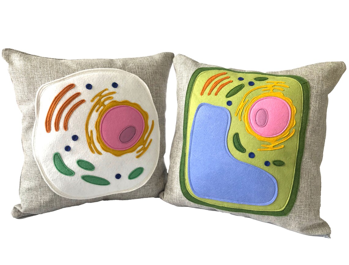 Science Diagram Pillow Plant Cell // Scientist // Botany // Etsy