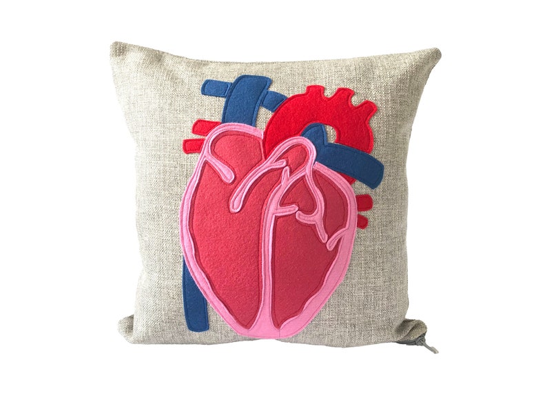 Science Diagram Pillow Heart // Cardiology // Cardiologist // Heart Transplant Gift // Valve Replacement // Bypass // Anatomical Heart image 1