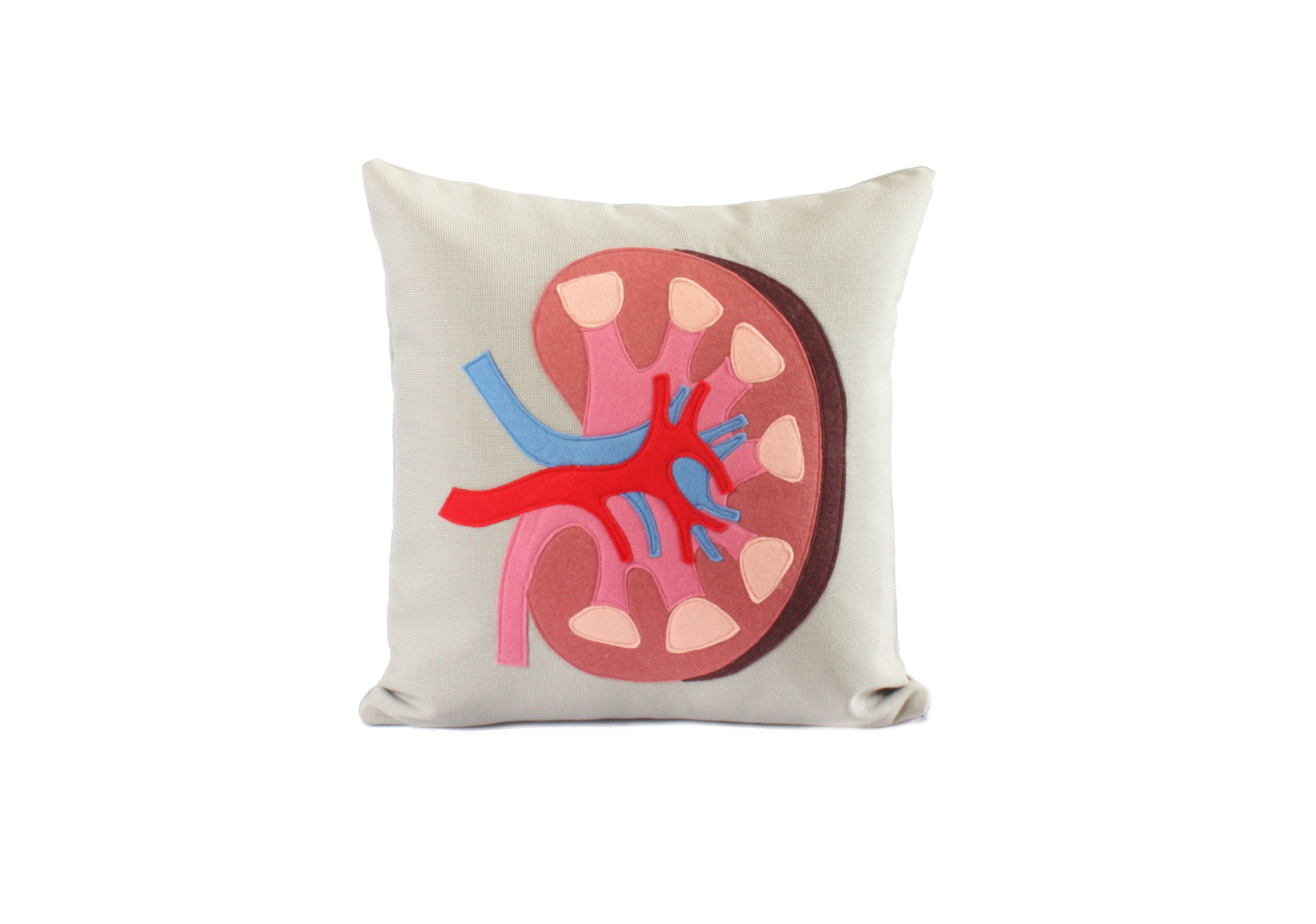 Science Diagram Pillow Kidney // Nephrology // Nephrologist Etsy