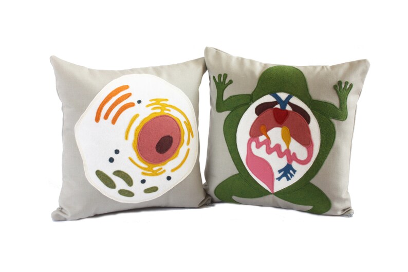 Science Diagram Pillow  Frog Dissection // Scientist // image 3