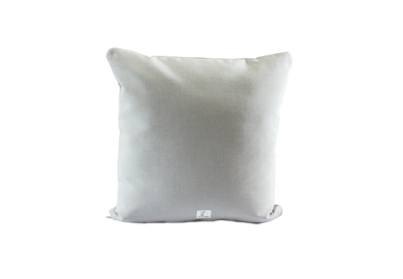 Science Diagram Pillow  Frog Dissection // Scientist // image 6