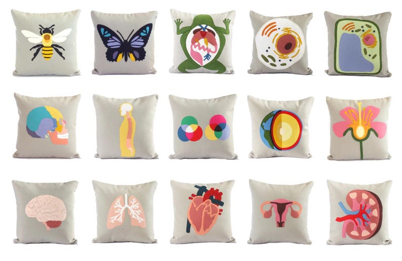 May include: Set of 15 decorative throw pillows featuring various scientific and anatomical illustrations. The pillows are beige with colorful embroidered designs, including a bee, butterfly, frog, cell, plant cell, skull, human skeleton, color wheel, earth, flower, brain, lungs, heart, uterus, and kidney.