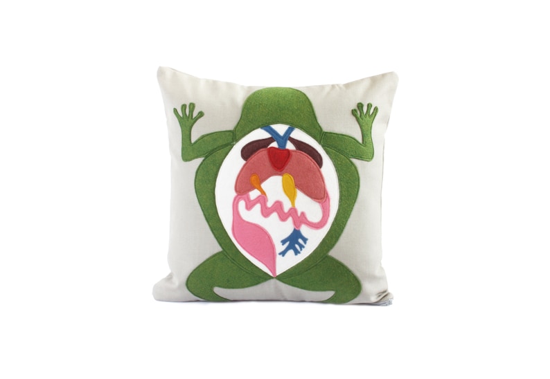 Science Diagram Pillow Frog Dissection // Scientist // Biology // Biologist // Medical Student // Teacher Gift // Anatomy image 1