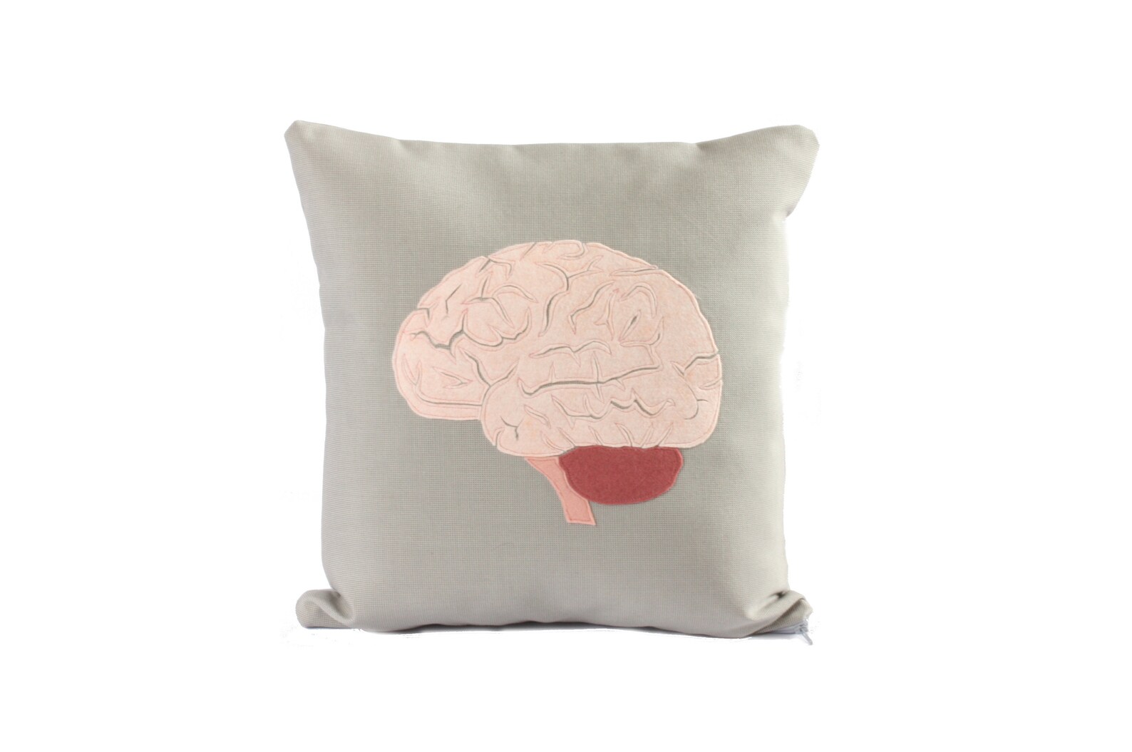 Science Diagram Pillow Brain // Anatomy // Medicine // Organ Etsy