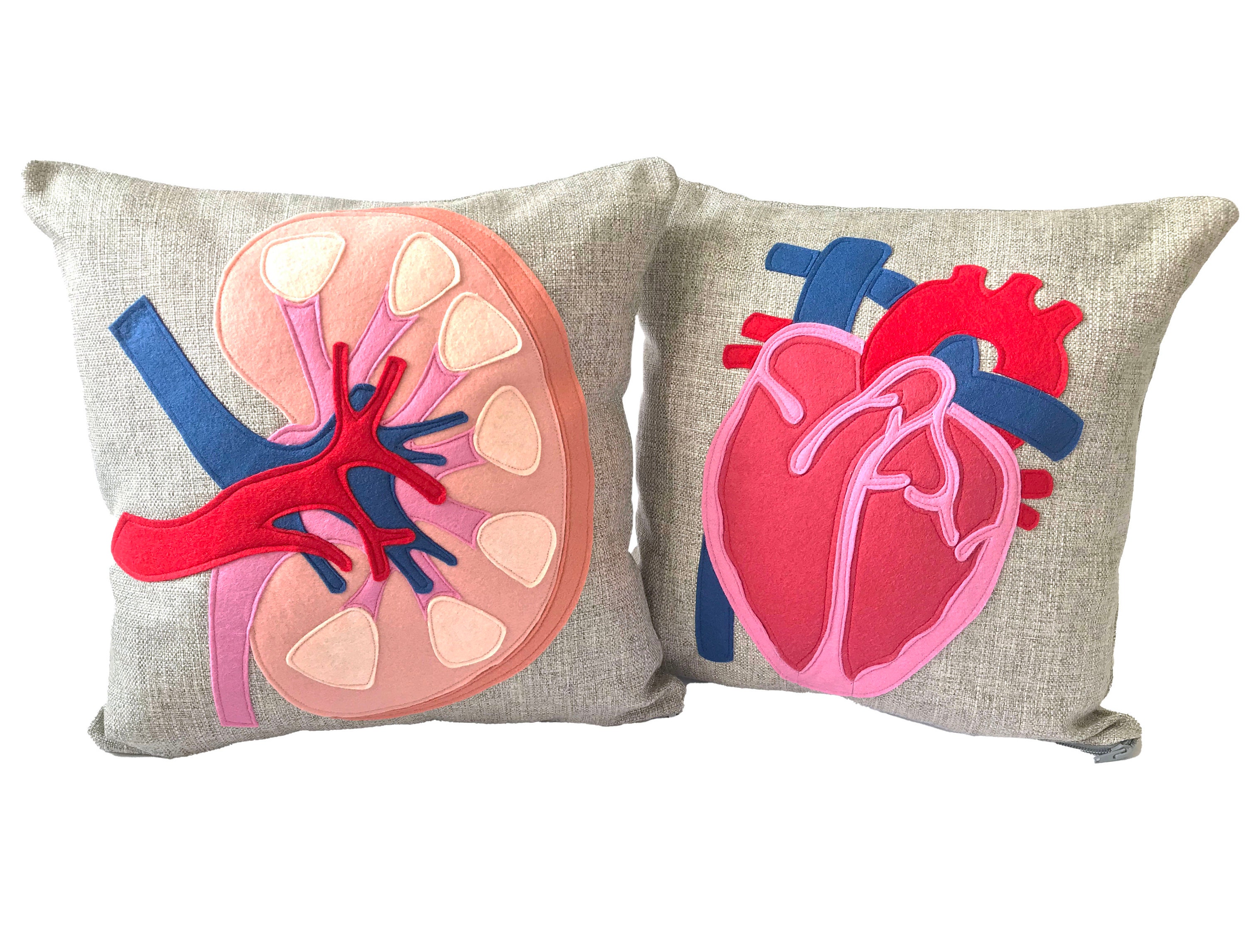Science Diagram Pillow Kidney // Nephrology // Nephrologist Etsy