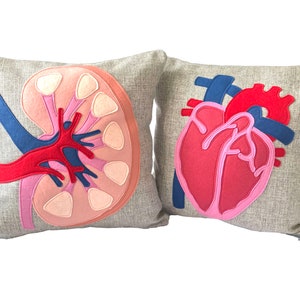 Science Diagram Pillow Heart // Cardiology // Cardiologist // Heart Transplant Gift // Valve Replacement // Bypass // Anatomical Heart image 4