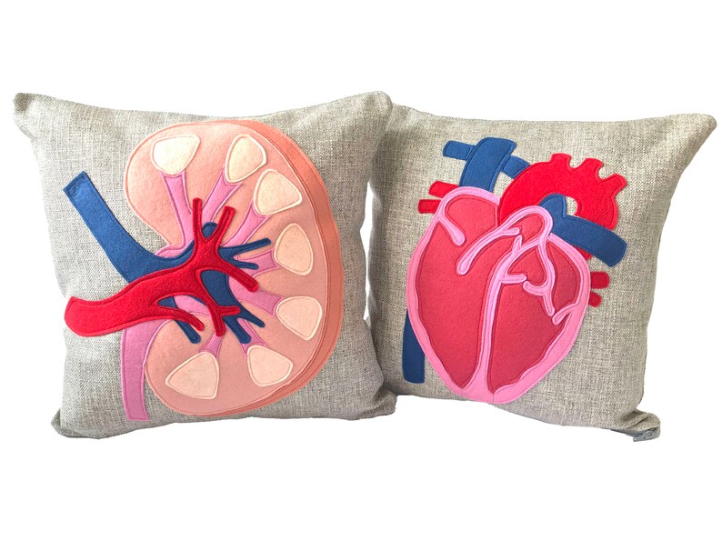 Science Diagram Pillow Heart // Cardiology // Cardiologist // Heart Transplant Gift // Valve Replacement // Bypass // Anatomical Heart image 4