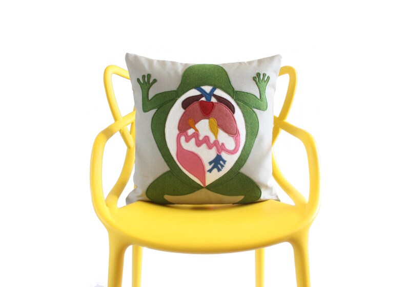 Science Diagram Pillow  Frog Dissection // Scientist // image 2