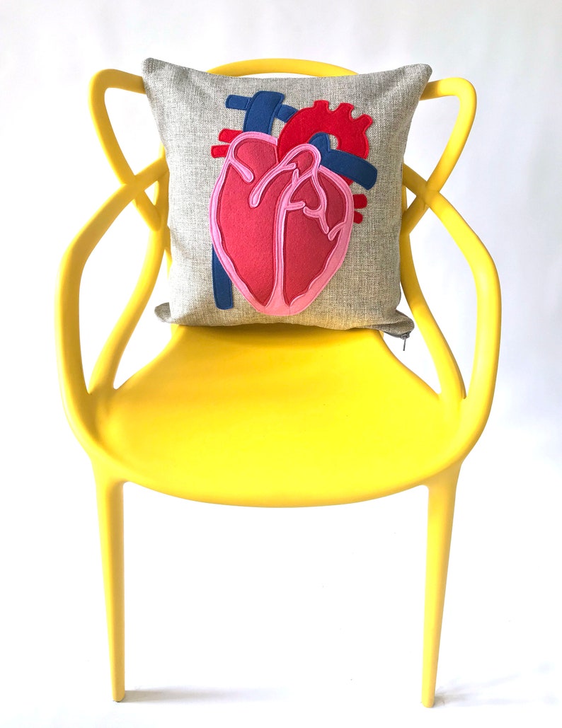 Science Diagram Pillow Heart // Cardiology // Cardiologist // Heart Transplant Gift // Valve Replacement // Bypass // Anatomical Heart image 2