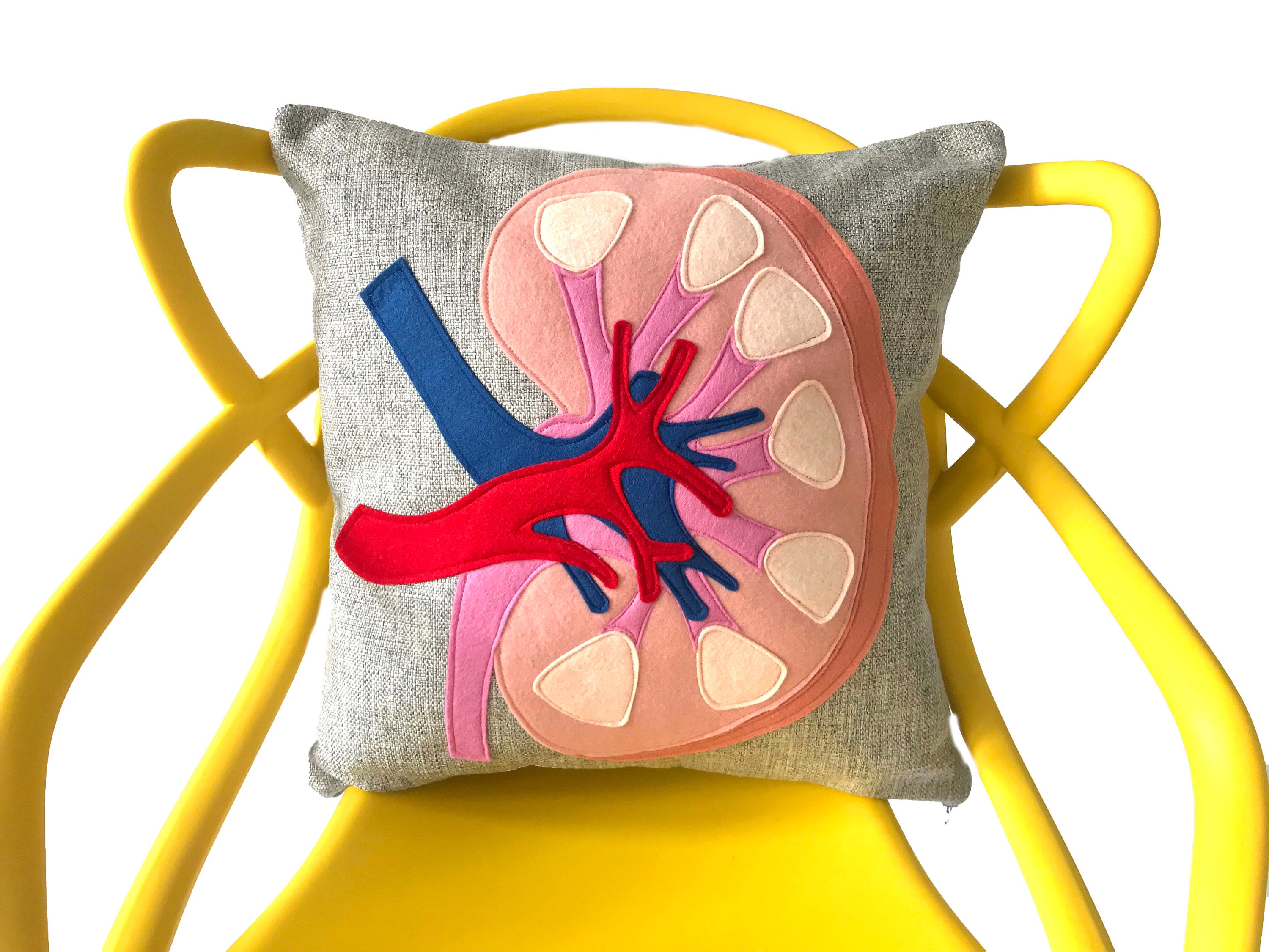 Science Diagram Pillow Kidney // Nephrology // Nephrologist Etsy