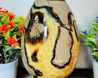 Buy 180 MM Large Septarian natural egg Crystal Healing