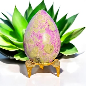 May include: A large, egg-shaped stone with a mottled pattern of purple and green hues. The stone is displayed on a small, ornate gold-coloured stand. The background features a vibrant green plant with broad leaves, creating a striking contrast.