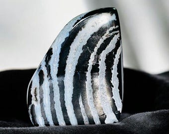 80MM Zebra Agate Standing Crystal: AAA+ Quality, Metaphysical Decor