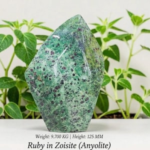 Può includere: Una gemma lucidata di rubino in Zoisite (Anyolite) con un colore di base verde e macchie rosso scuro. La pietra a forma di diamante è alta 12,5 cm e pesa 9,700 kg. Il testo "Ruby in Zoisite (Anyolite)" è in basso.