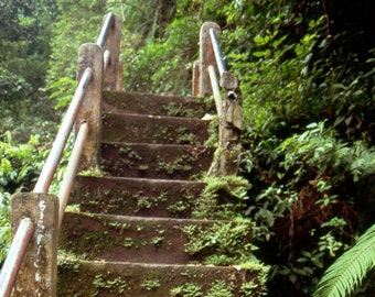 Lombok Stairs - 5x7 photo in 8x10 mat, fine art photograph, indonesia photography, lombok photography, home decor, wall art, jungle photo