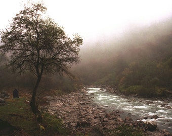 Langtang Mist - 5x7 print in 8x10 mat, fine art photography, nature photography, tree print, river photography, wall art, nepal photography