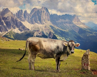 Dolomiti I - The Cow - color 5x7 print in 8x10 mat Dolomiti Italy Fine Art Photography