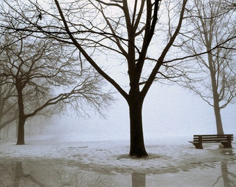 High Park Blues II - 5x7 photo in 8x10 mat, toronto photography, toronto photograph, high park photograph, fine art photography, winter