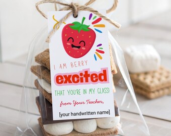 Strawberry Back to School Gift Tag, Teacher Treat (PDF, PNG)