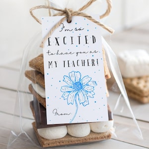 I&#39;m So Excited To Have You As My Teacher Favor Tag, First Day of School Gift Tags, Blue Teacher Gift Tag, Back to School Printable Gift Tags