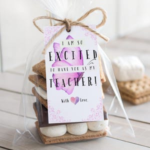 I&#39;m So Excited To Have You As My Teacher Favor Tag, First Day of School Gift Tags, Teacher Gift Tags, Back to School Printable Gift Tags