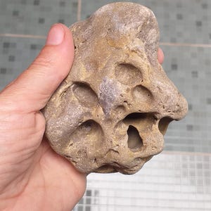Pode incluir: Uma pedra natural de cor castanha e bege com uma textura rugosa e desgastada, apresentando vários buracos e cavidades profundas e irregulares na sua superfície. A rocha tem uma forma orgânica irregular com tons terrosos variados.