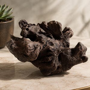 May include: A dark brown piece of driftwood with a gnarled, organic texture and complex, irregular shapes. The wood features deep grooves, weathered surfaces, and a solid, dense appearance, showcasing natural patterns formed by erosion and age.