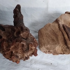 May include: Two pieces of natural driftwood with irregular shapes and textures. The piece on the left is dark brown with deep crevices and a pointed top, while the piece on the right is lighter tan with a smoother, curved surface and bark details.