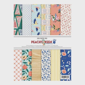 Blocco di carta Peachy Keen 6 x 8 pollici con carta a fantasia