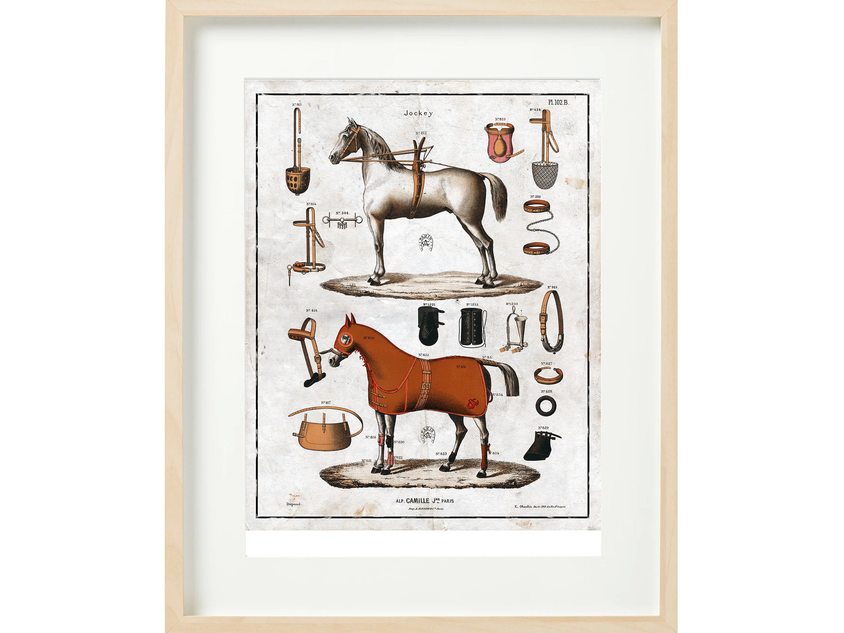Vintage Equestrian Print, Vintage Horse Riding Catalog, Printable Wall