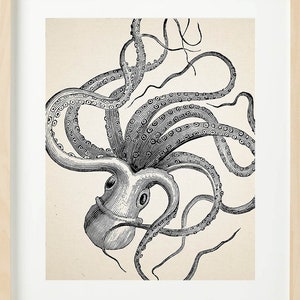 VINTAGE OCTOPUS Print Set of 4 Bathroom Wall decor Beach House image 6