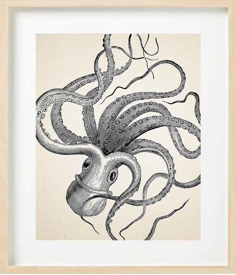 VINTAGE OCTOPUS Print Set of 4 Bathroom Wall decor Beach House image 6