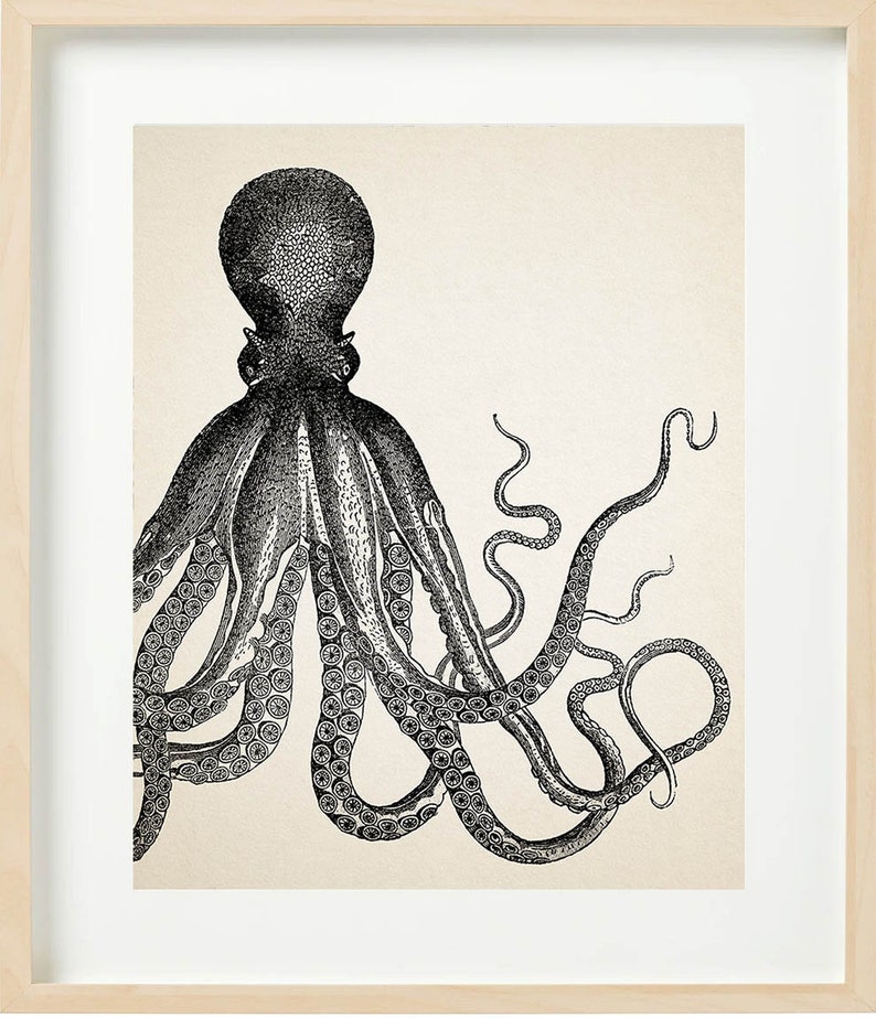 VINTAGE OCTOPUS Print Set of 4 Bathroom Wall decor Beach House image 3